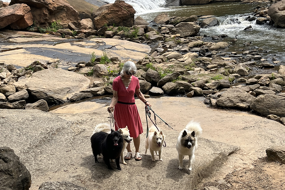 Fit Dog Article